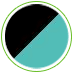 Ebony and riptide turquoise icon